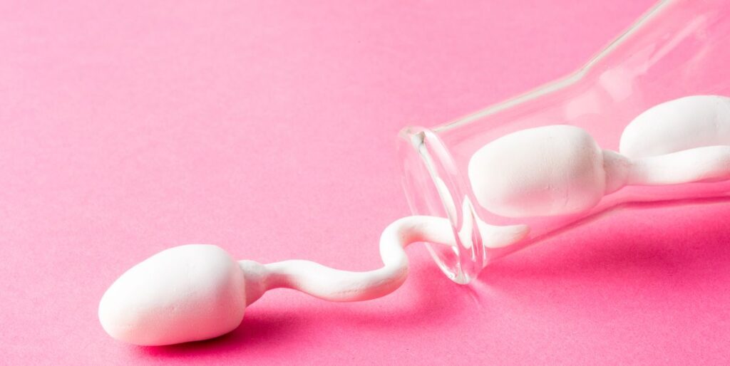How Does Sperm Travel In The Female Body
